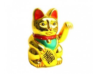gato1.jpg